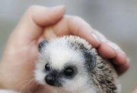 tier babys bilder tier babys bilder