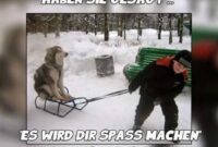 witzige bilder neu witzige bilder neu