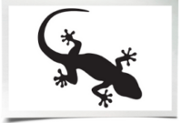 tierschablonen zum ausdrucken tierschablonen zum ausdrucken