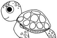 schildkröten ausmalbilder schildkröten ausmalbilder