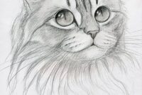 bild katze zeichnung bild katze zeichnung