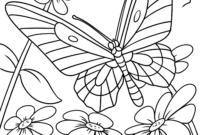 schmetterling ausmalbild kostenlos