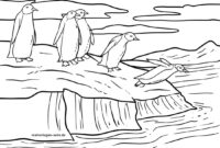 pinguine malvorlage