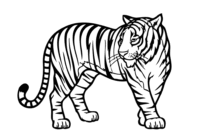 tiger ausmalbild tiger ausmalbild