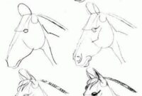 pferde zeichnen kopf pferde zeichnen kopf