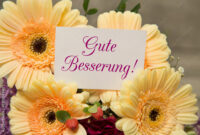 gute besserung blumen bilder