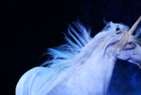 alihörner alihörner