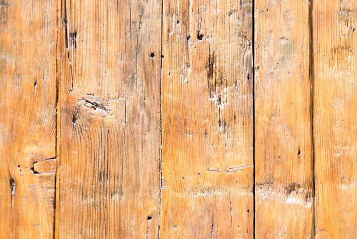 puce de bois meuble