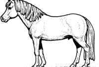 pferd malbild pferd malbild