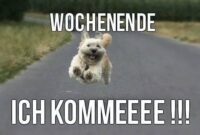 kostenlose lustige wochenendbilder kostenlose lustige wochenendbilder