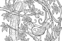vogel ausmalbilder für erwachsene