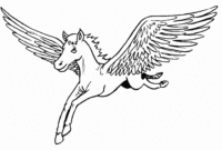 pegasus malvorlage pegasus malvorlage