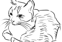 bilder zum ausmalen katze