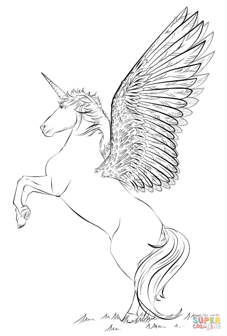 Top 20 Ausmalbilder Einhorn Mit Flügel – Beste Wohnkultur, Bastelideen
