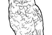 eule bilder zum ausmalen eule bilder zum ausmalen