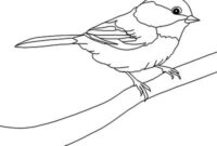 vorlage vogel zeichnen vorlage vogel zeichnen