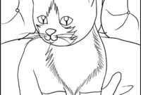 ausmalbilder katzen ausmalbilder katzen