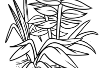 pflanzen zum ausmalen