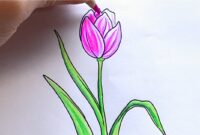 schöne blume zeichnen einfach schöne blume zeichnen einfach