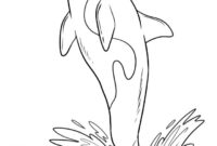 orca ausmalbilder orca ausmalbilder