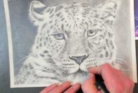 tiere bilder zeichnen