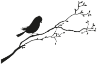 vogel auf ast vogel auf ast