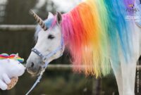 einhorn bilder echt einhorn bilder echt