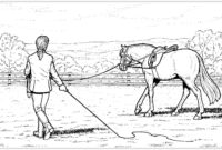 ausmalbilder reiter ausmalbilder reiter