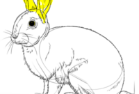 zeichnen hasen zeichnen hasen