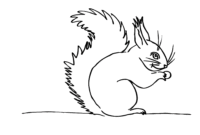 malvorlage eichhörnchen malvorlage eichhörnchen