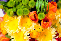 color blume color blume