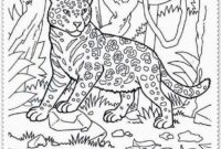 safari ausmalbilder safari ausmalbilder