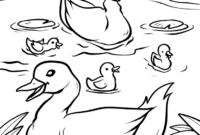 enten malvorlage enten malvorlage