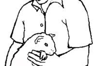 meerschweinchen ausmalbild meerschweinchen ausmalbild