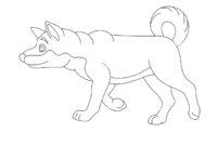 hund vorlage hund vorlage