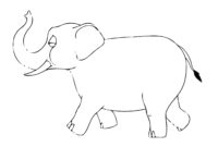 elefant ausmalen elefant ausmalen