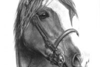 pferde bilder zum zeichnen