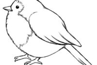 vogel zeichnen vorlage vogel zeichnen vorlage