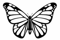 schablone schmetterling groß