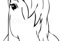 pferdekopf zeichnen vorlage
