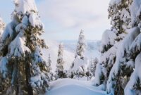 kostenlos winterbilder