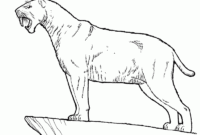 säbelzahntiger ausmalbild