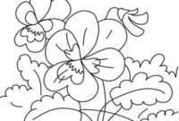 ausmalbild veilchen ausmalbild veilchen