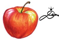 apfel zeichnungen