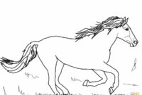 ausmalbilder wildpferd