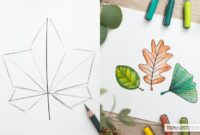 blätter zeichnen blätter zeichnen