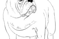 ausmalbild bulldog ausmalbild bulldog