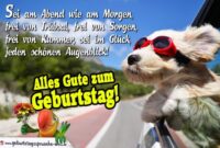 geburtstagsbilder hunde lustig geburtstagsbilder hunde lustig