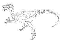 dino schablone zum ausdrucken