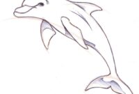 delfin zeichnung